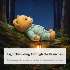 The Story of This Teddy Bear Setting Off to Count Stars at Night 3