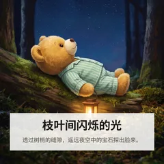 这只泰迪熊在夜里出发去数星星的故事 3