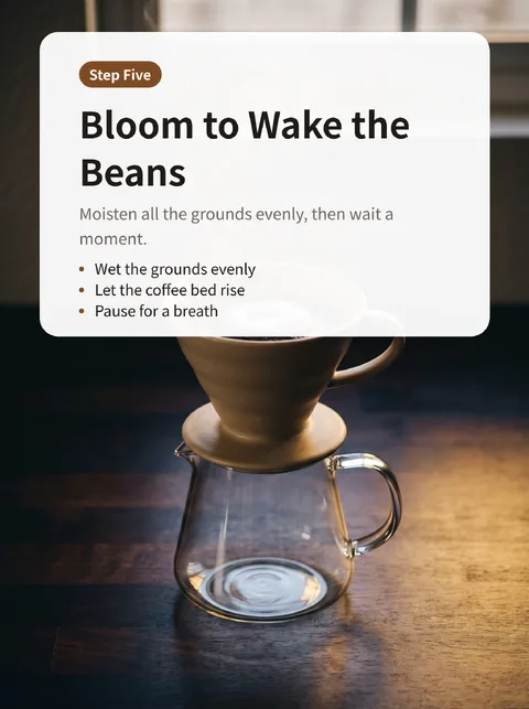 Brewing Great Coffee at Home in Eight Steps 6