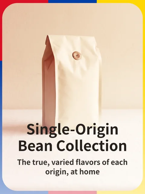 Single-Origin Coffee Bean Catalog