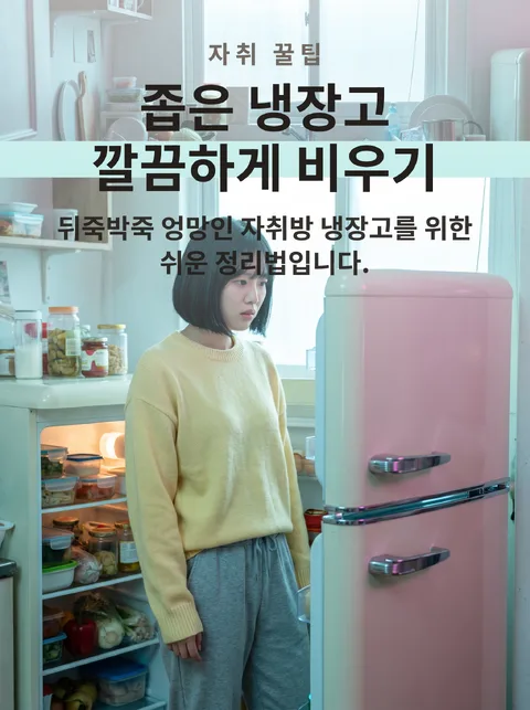 자취생 냉장고 정리 다섯 가지 방법
