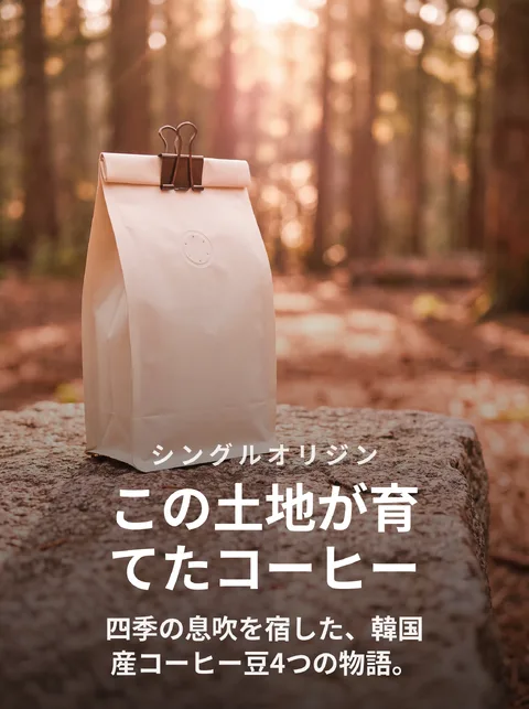 韓国産コーヒー豆4種 シングルオリジンカタログ