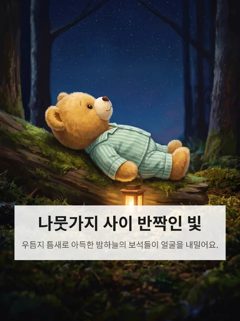 이 곰인형이 밤에 별을 세러 떠나는 이야기 3