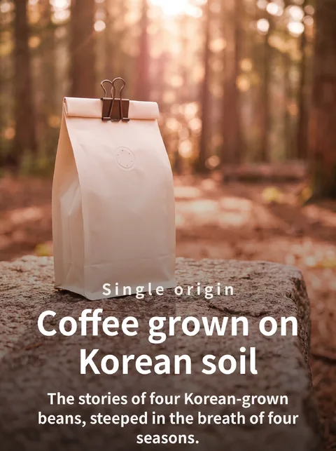 Korean-Grown Coffee: 4 Single-Origin Beans Catalog