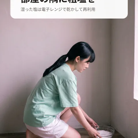 部屋の隅に粗塩を