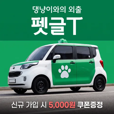 상단 띠 헤드라인
