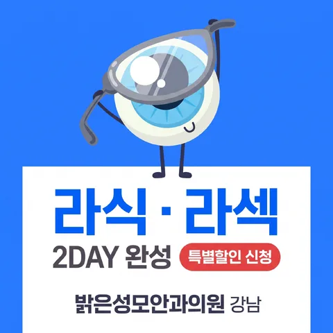 상하 반반