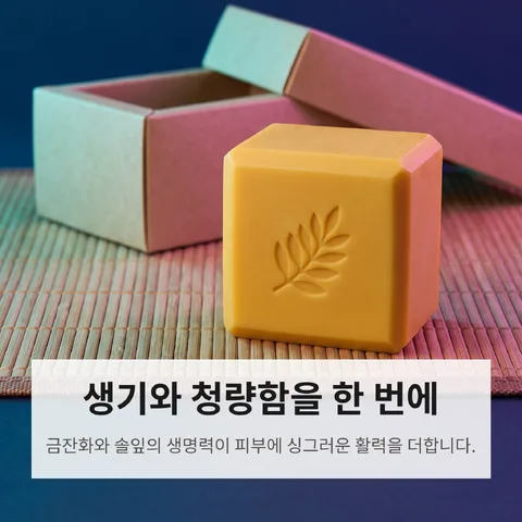 생기와 청량함을 한 번에