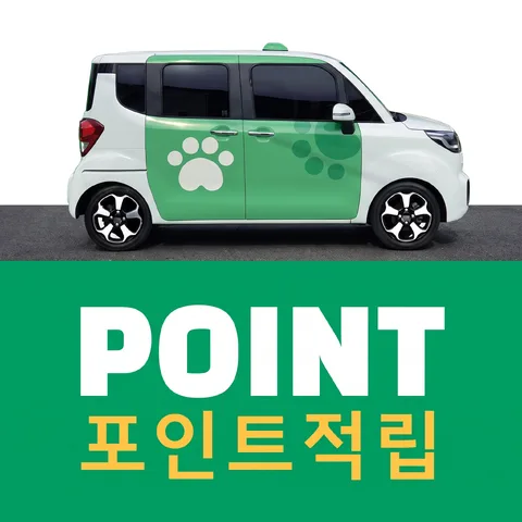 상하 반반