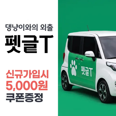 좌측 컬러 블록