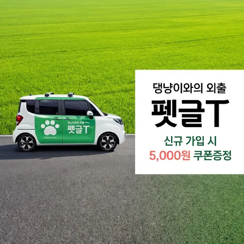 측면 탭