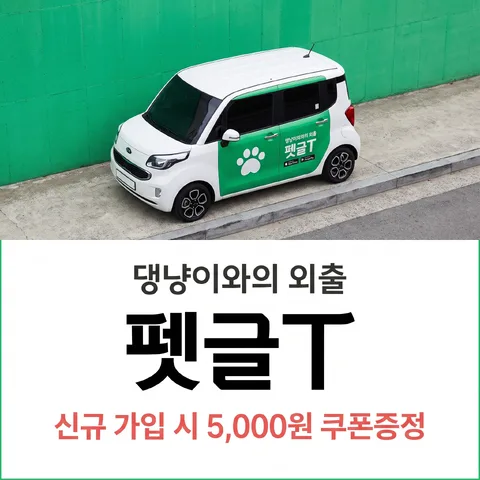 상하 반반