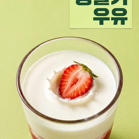 고명이 내려앉는 순간 · 스플래시 라임 그린 · 스플래시 필름 톤