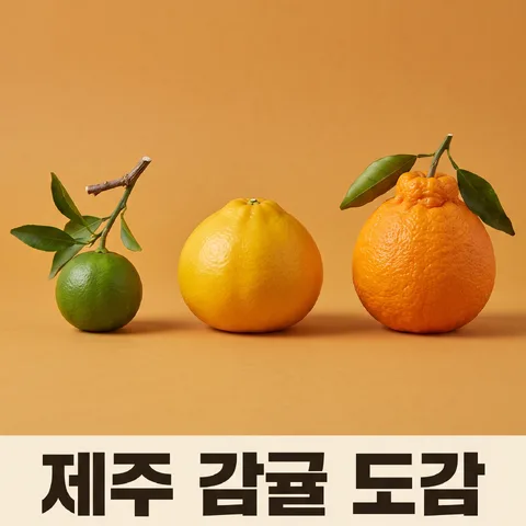 자라는 단계 한 줄 · 도감 가을 · 도감 실사 표본 촬영