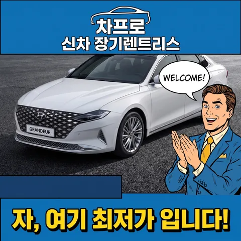 삼단 분할