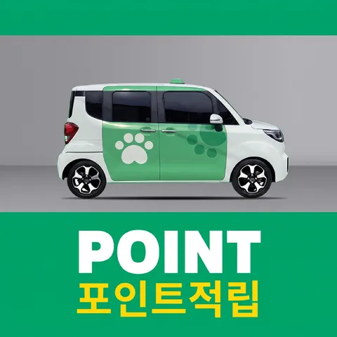 삼단 분할