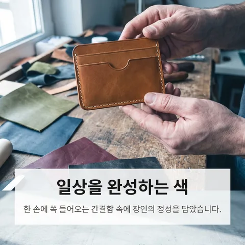 일상을 완성하는 색