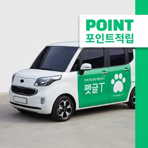 측면 탭