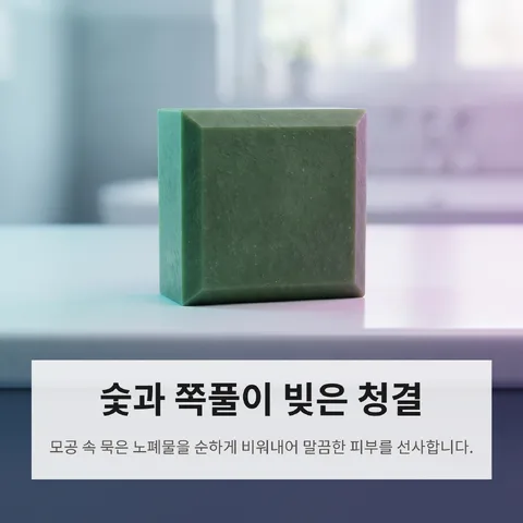 숯과 쪽풀이 빚은 청결