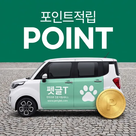 상단 띠 헤드라인