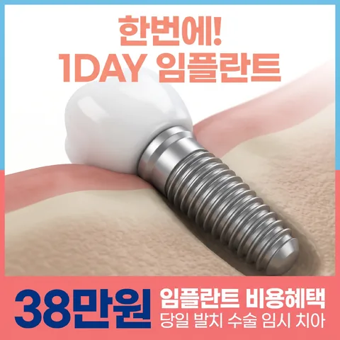 삼단 분할