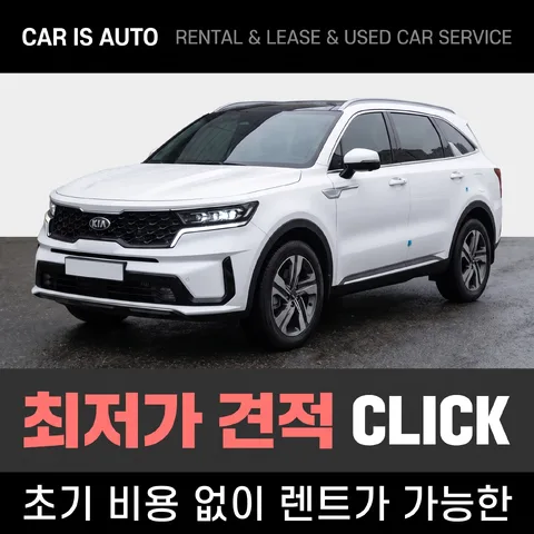 삼단 분할