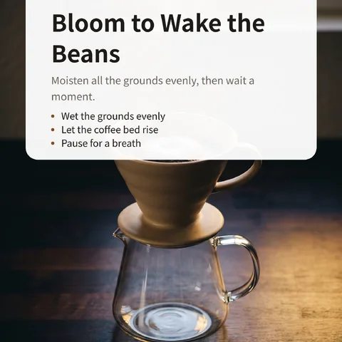 Bloom to Wake the Beans