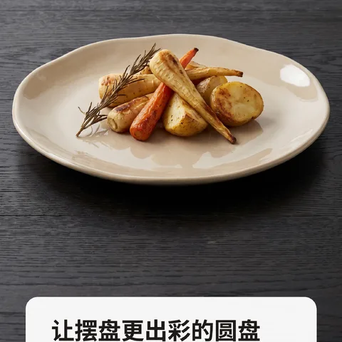 让摆盘更出彩的圆盘