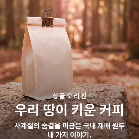 우리 땅이 키운 커피