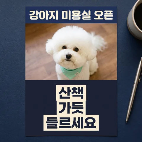 위에서 본 전단과 소품 · 전단 네이비 · 전단 필름 톤