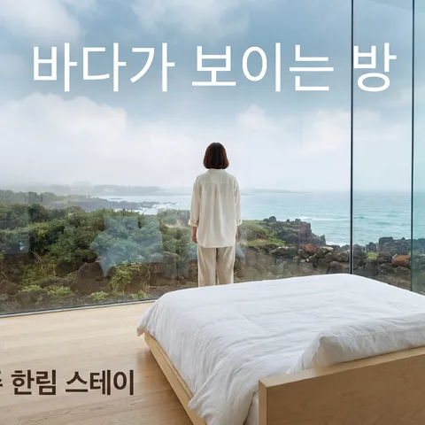 뒷모습 여행자 · 포레스트 모스 · 일러스트 지도
