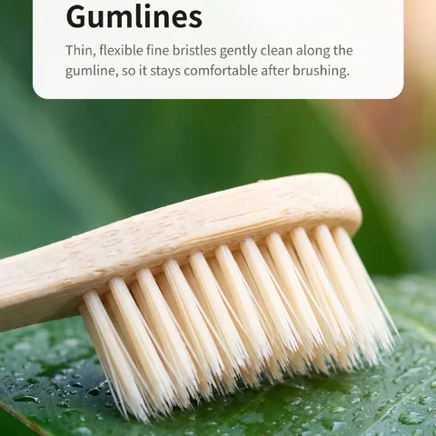 Fine Bristles That Gently Reach Gumlines