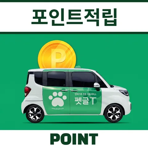 삼단 분할