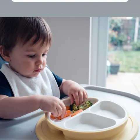 Self-Feeding Fun, All on Their Own