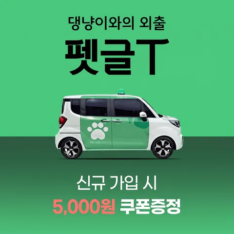 하프 그라데