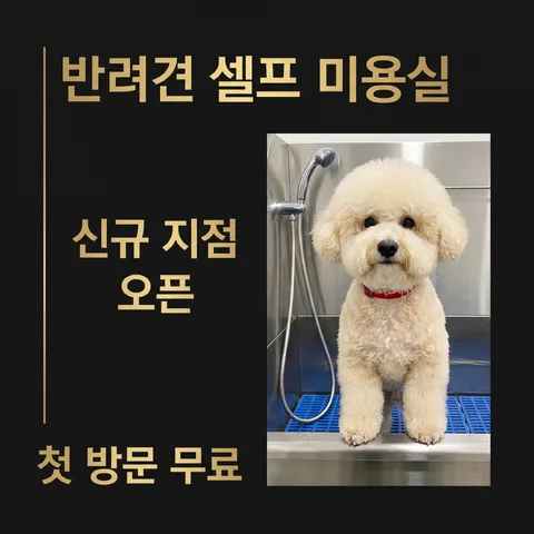 Z字错落 · 高级黑 · 极简广告