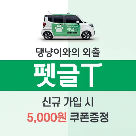 사분 격자
