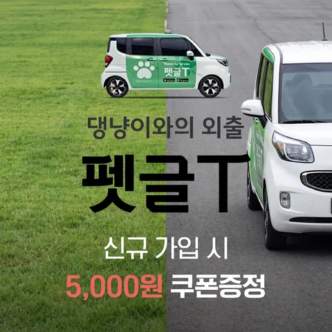 좌우 나란히