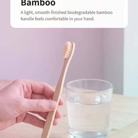 Biodegradable Handle Made of Natural Bamboo