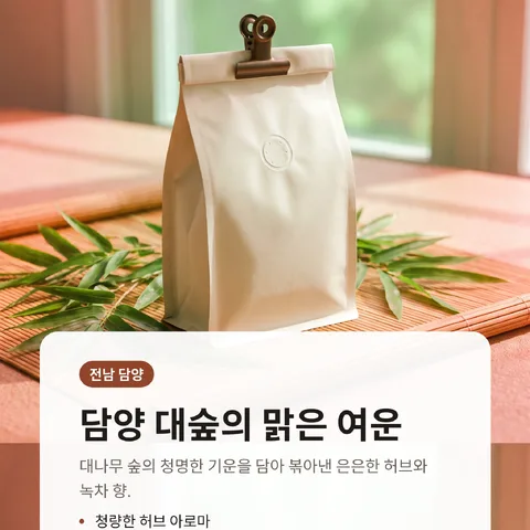 담양 대숲의 맑은 여운