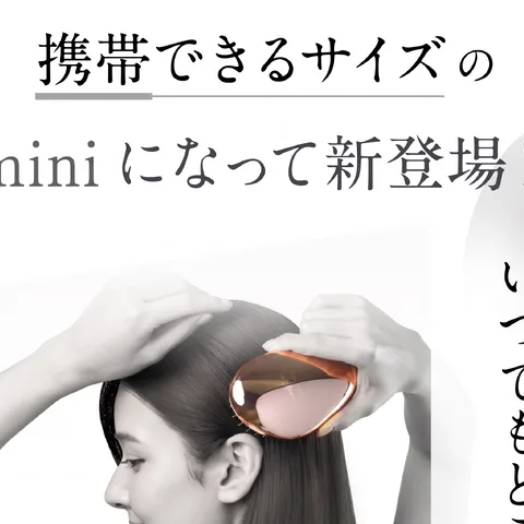 Monotone + Accent