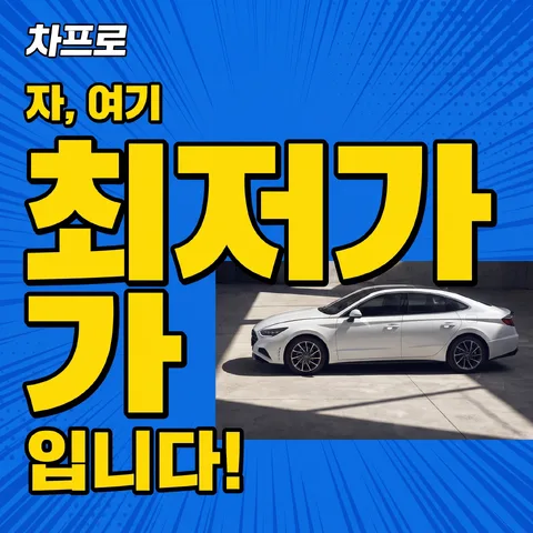 数字强调