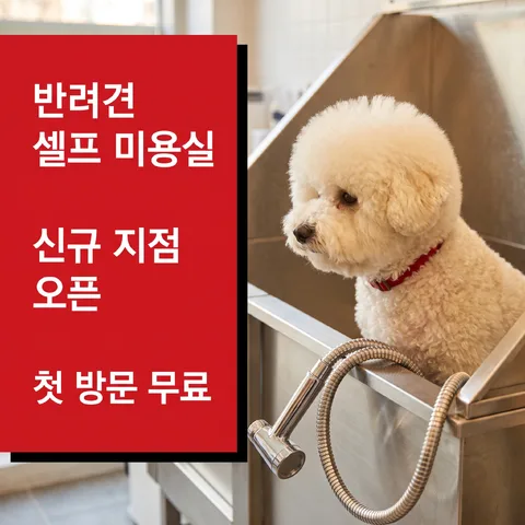 左侧色块 · 品牌红 · 写实实拍