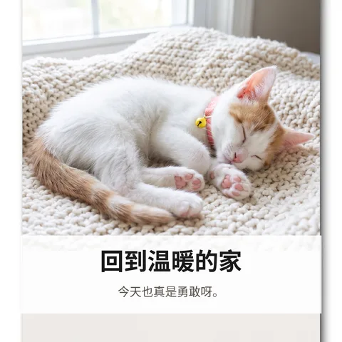 回到温暖的家