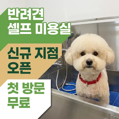 阶梯色块 · 自然绿 · 贴纸波普