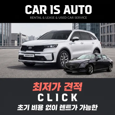 삼단 분할