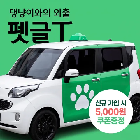 코너 오퍼 배지