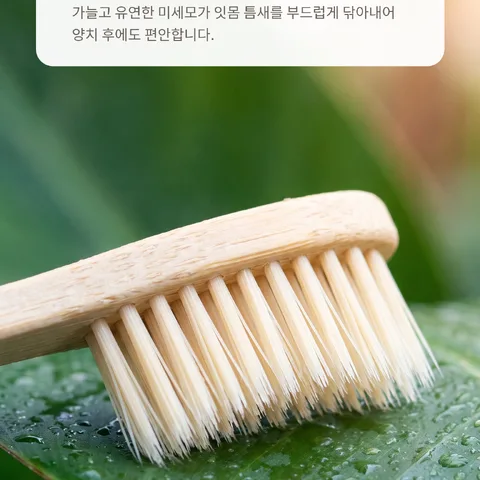 잇몸 틈까지 순하게 닿는 미세모