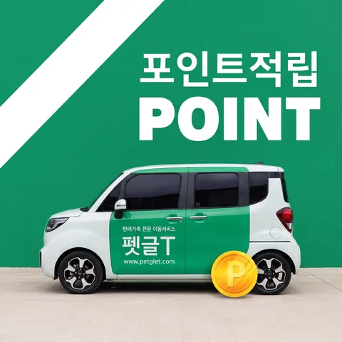 사선 리본