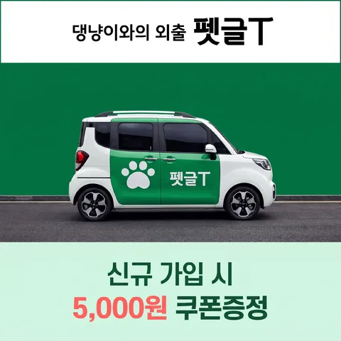 삼단 분할